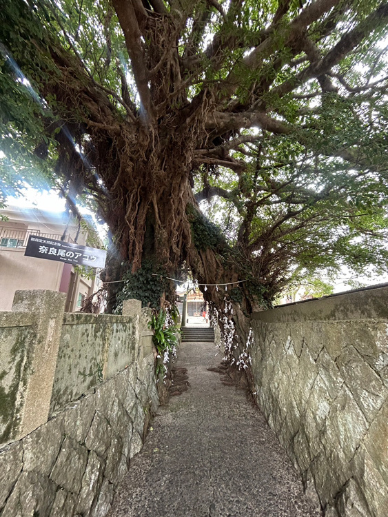 奈良尾神社